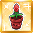 File:AS 热度类型 花蕾.png