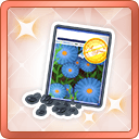 File:AS SP类型 种子.png