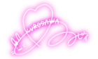 Signature-ruby.png