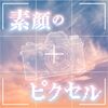 素颜のピクセル (LLLL).jpg